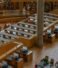 Egypt’s Education Revolution: The Role of Books and Learning Resources